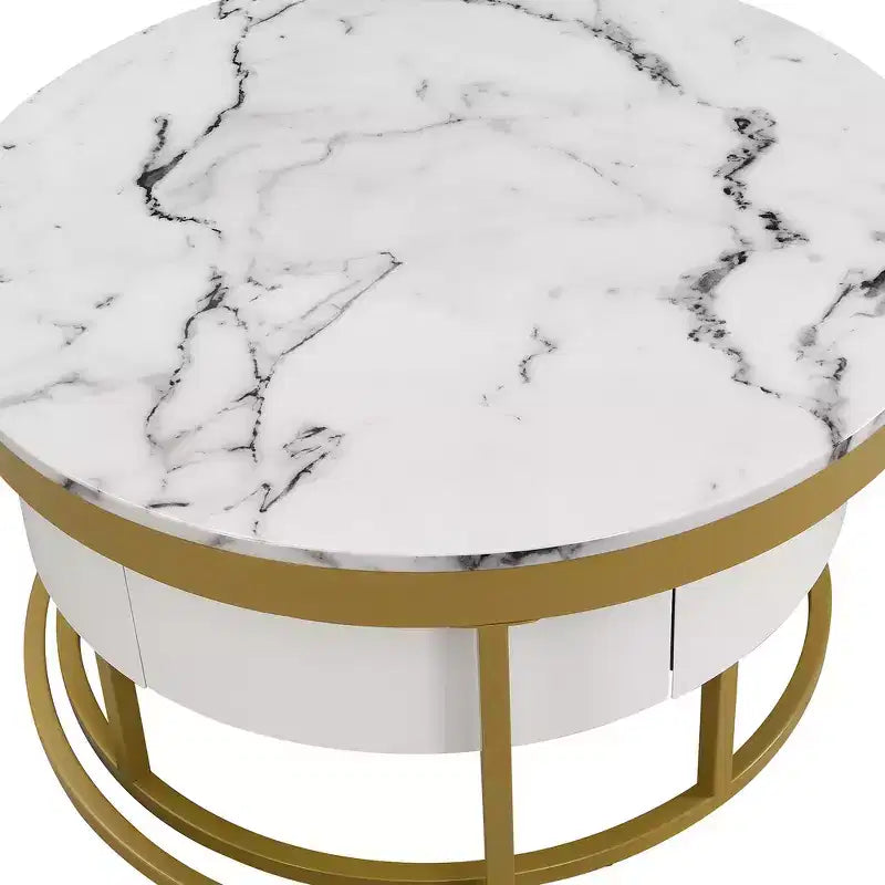 Whisen Modern Round Nesting Coffee Table Set with 2 Drawers - Golden & White